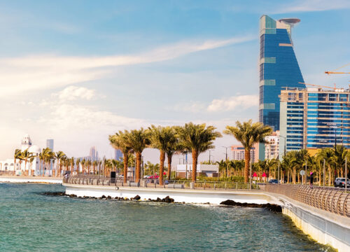 Experience Amazing Saudi