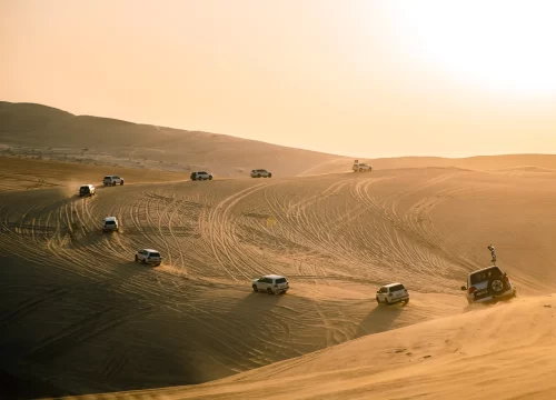 Full Day Desert Safari