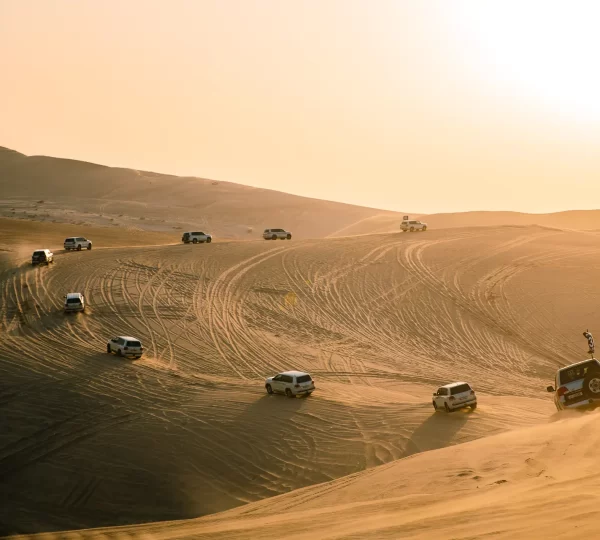 Full Day Desert Safari