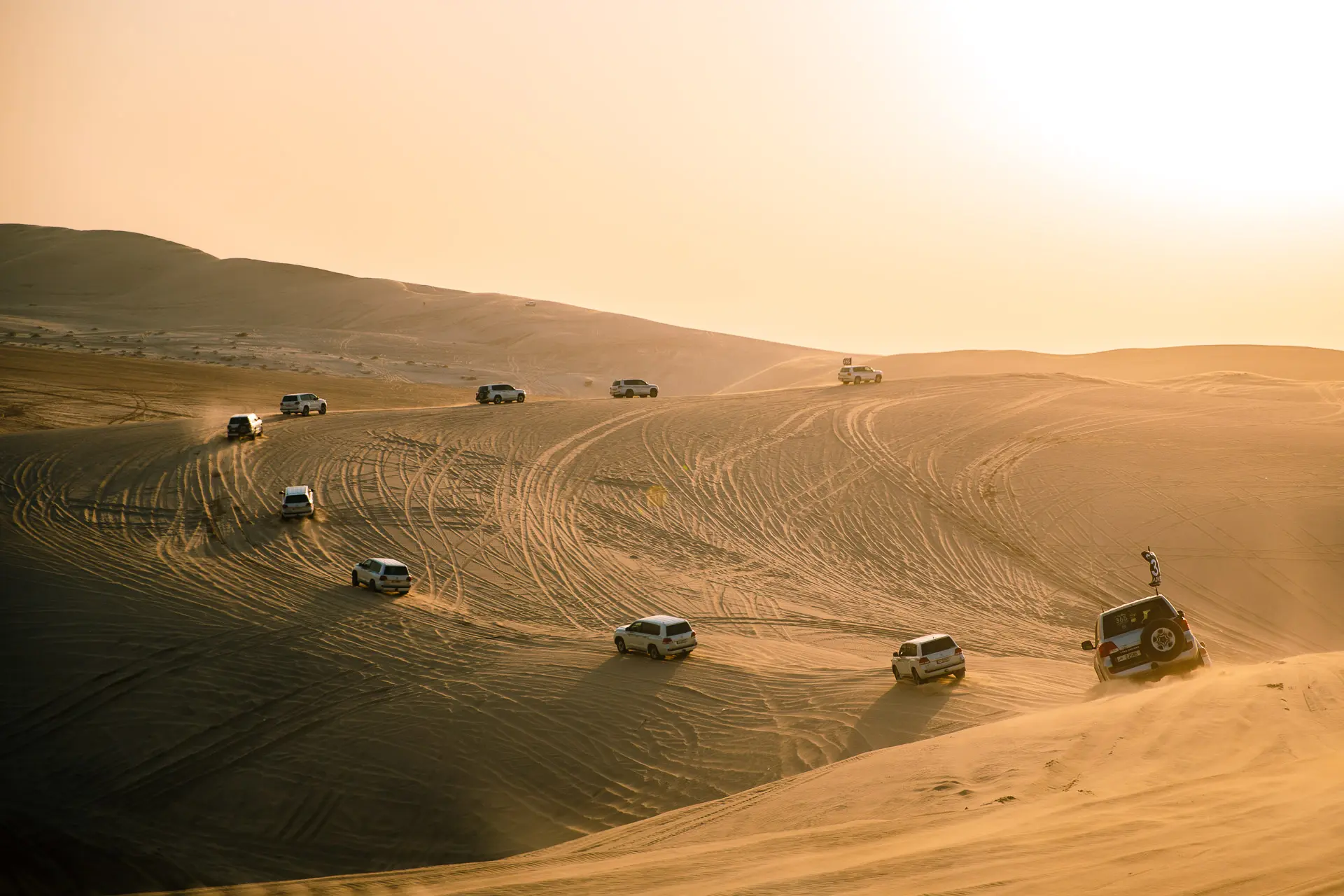 Full Day Desert Safari