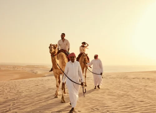Camel Tour