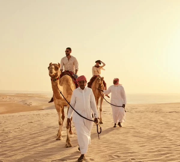 Camel Tour