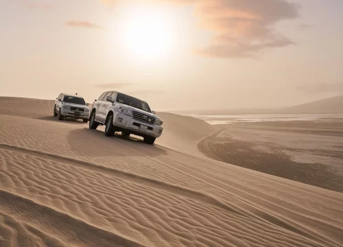 Half Day Desert Safari