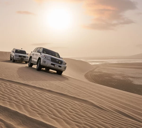 Half Day Desert Safari