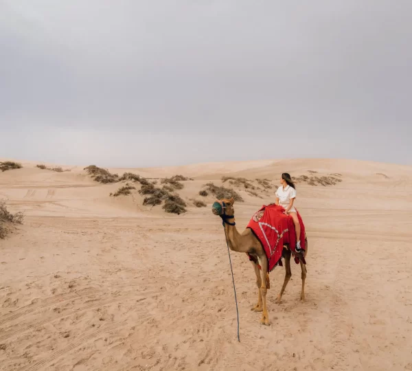 Camel Caravan Tour